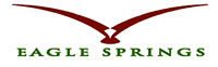 Eagle Springs logo