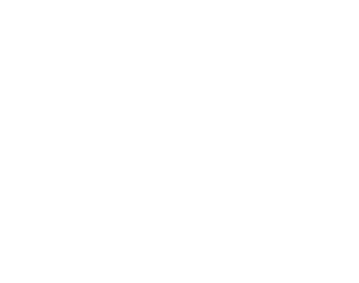 Real Insight