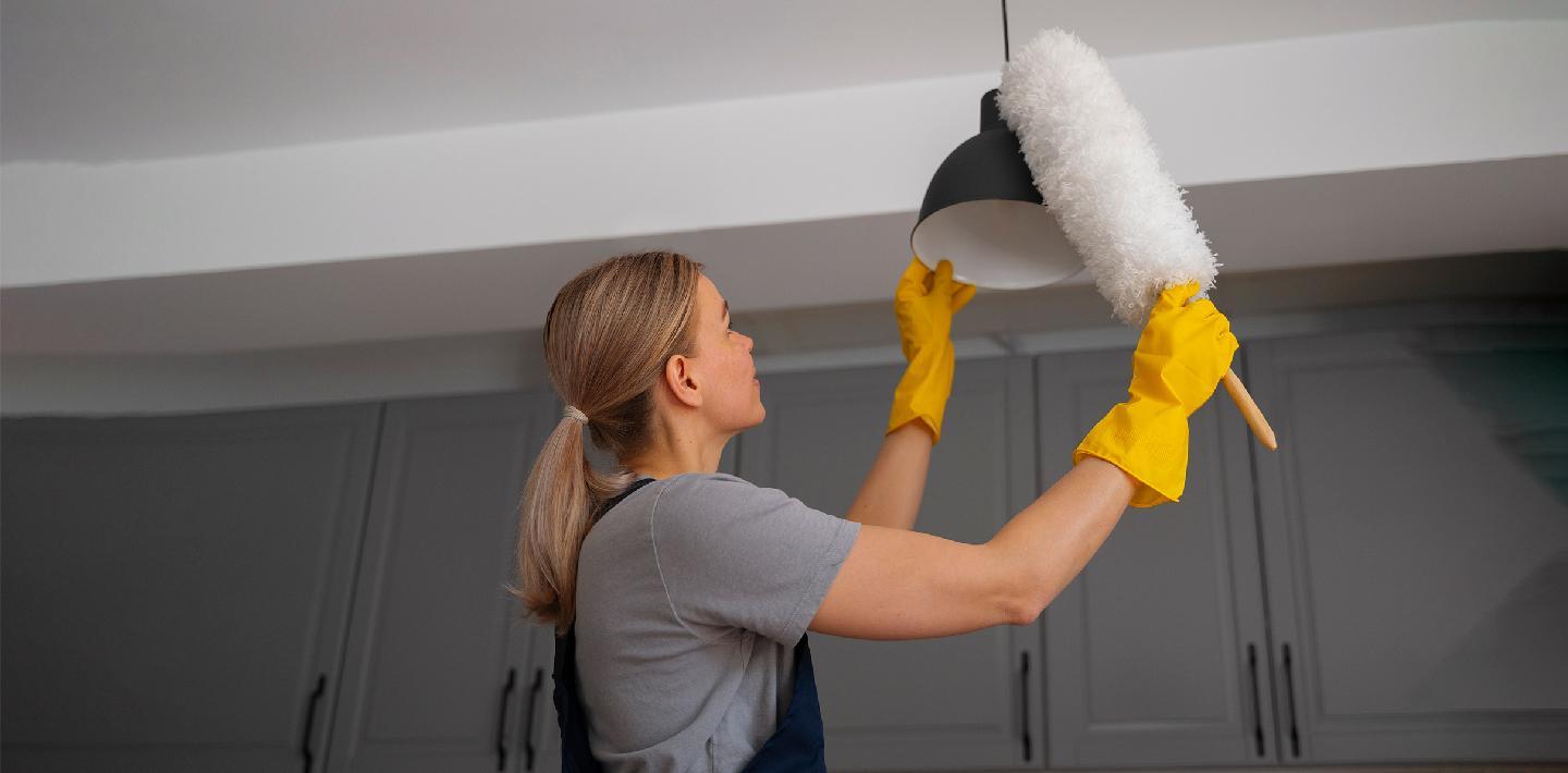 Cleaning and Maintenance