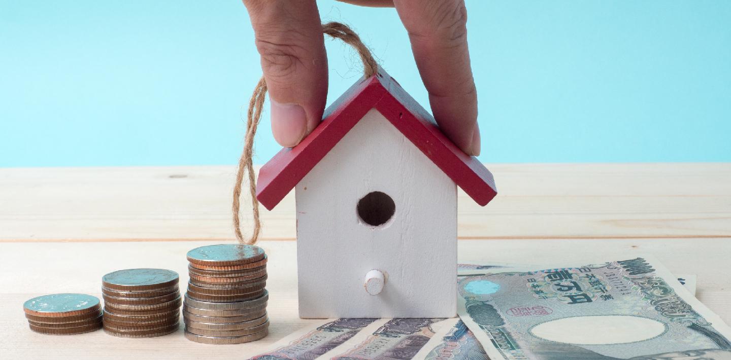 Government Assistance Programs