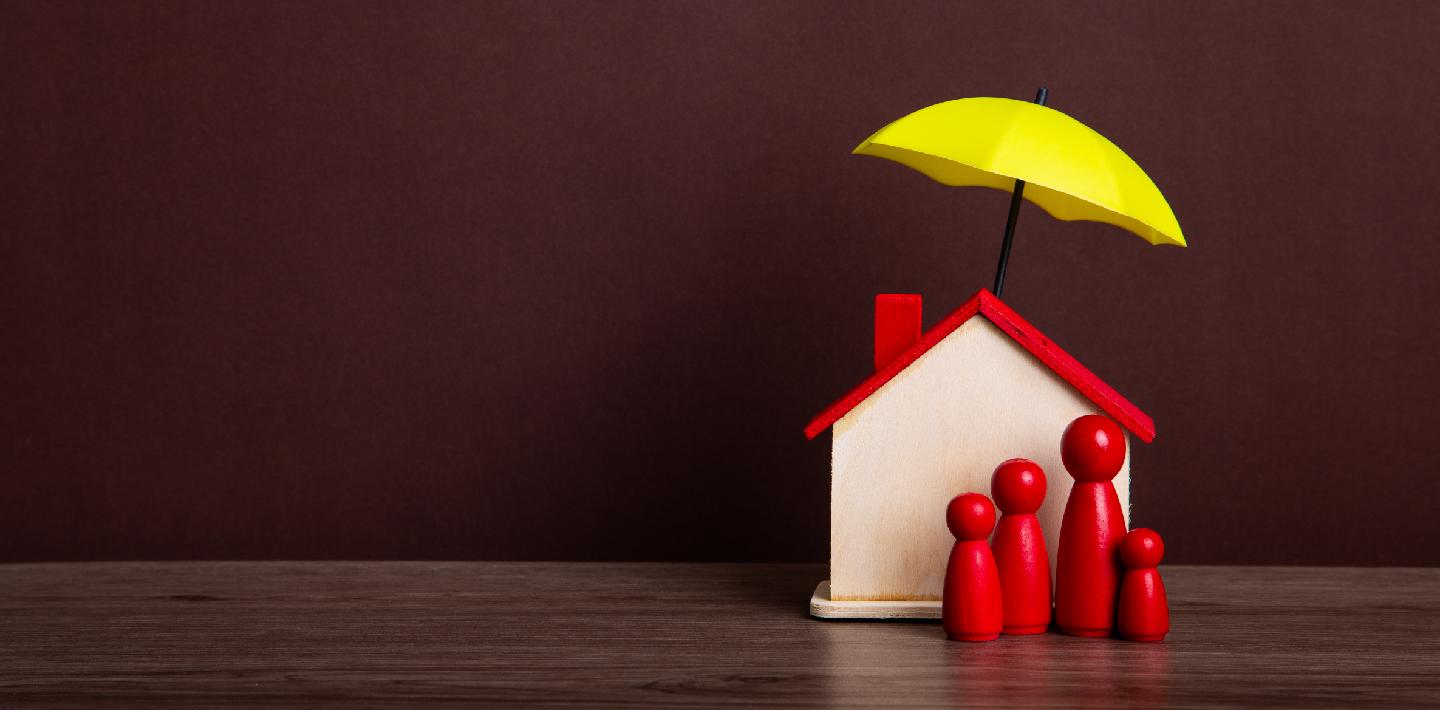 Liability/Supplemental Insurance