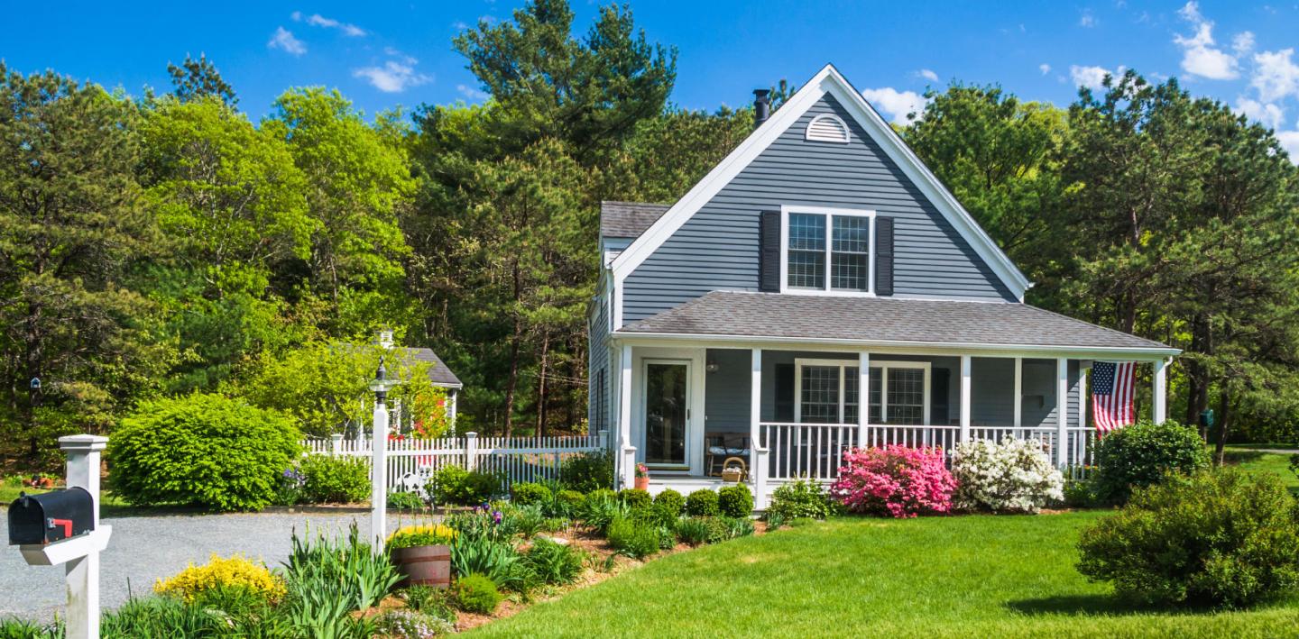 Outdoors and Gardening