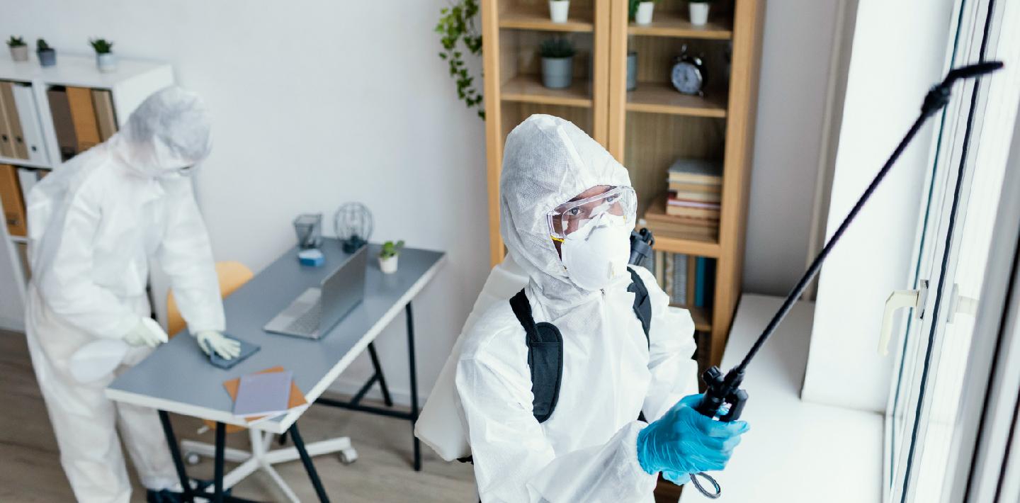 Pest Control and Prevention