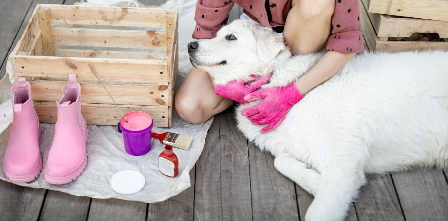 Pets and Animal Care