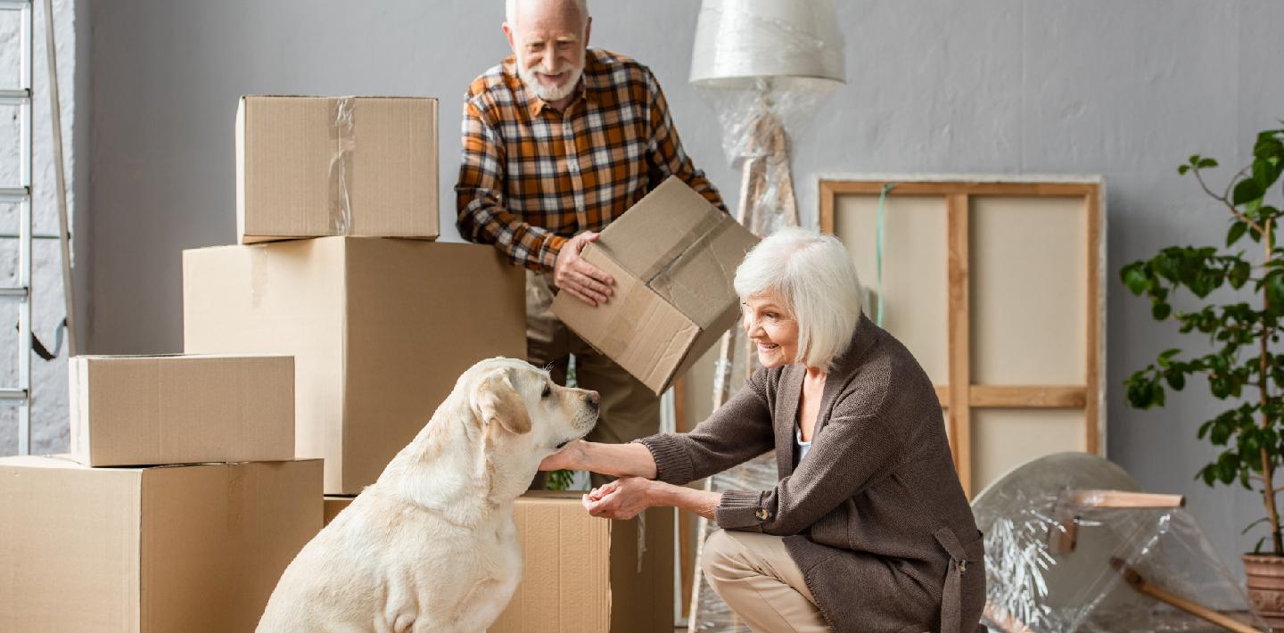 Pets and Home Selling