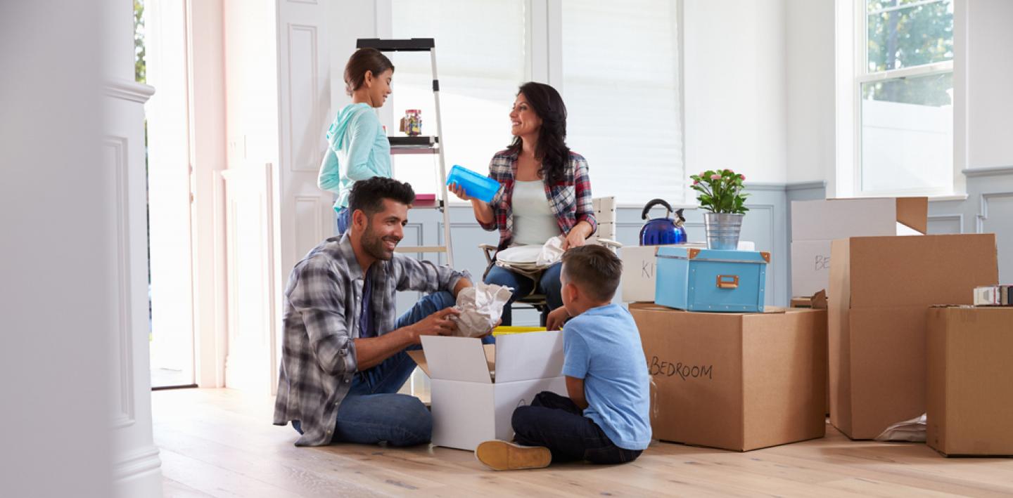 Post-Move Essentials