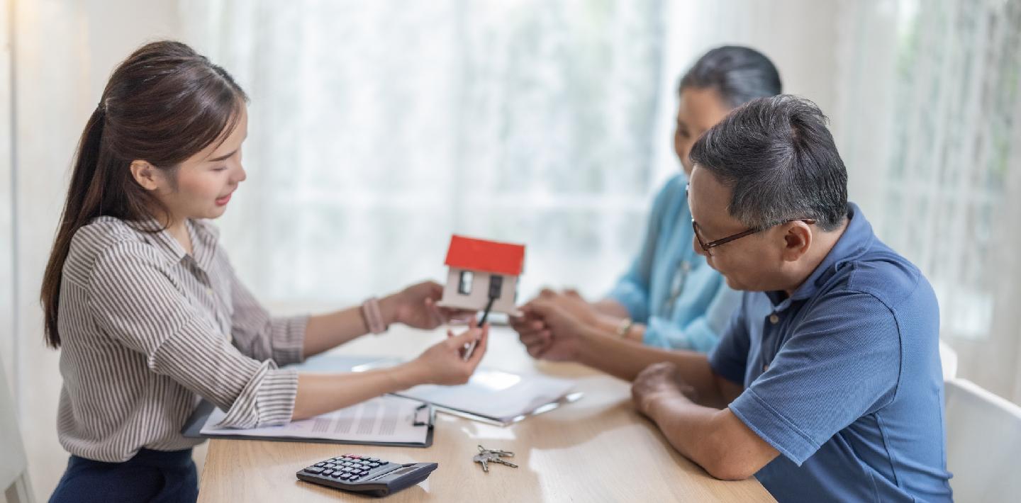 Property Title Insights