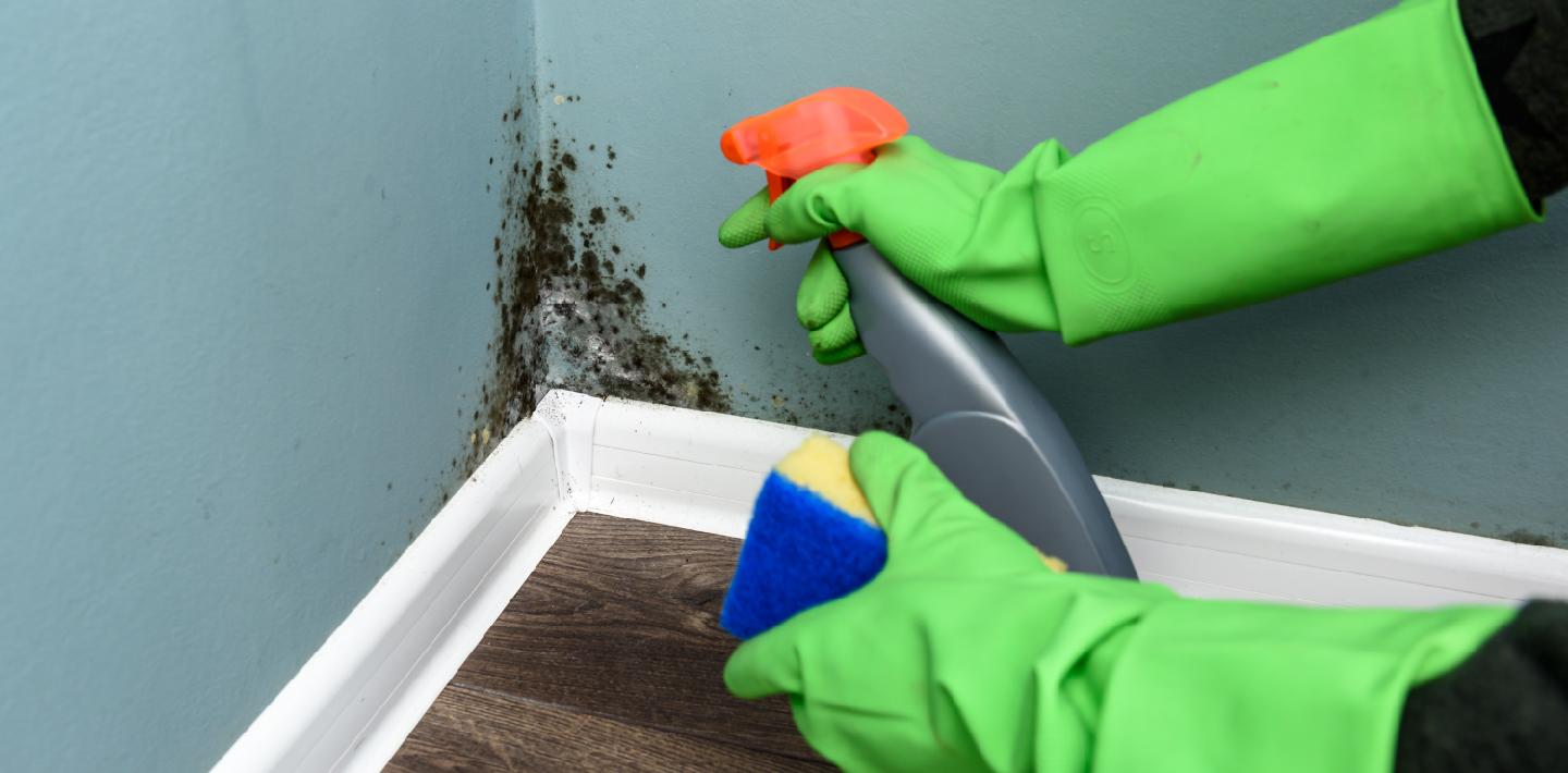 Real Estate Challenges